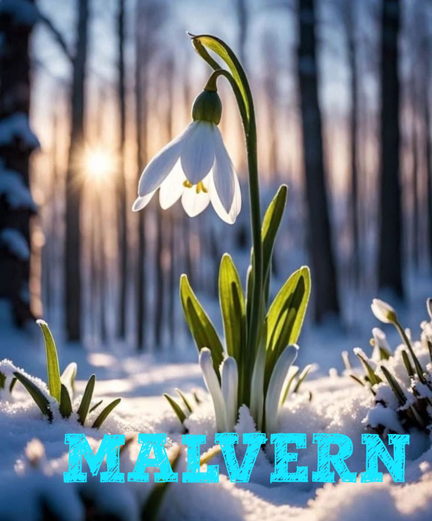 Malvern Holistic Wellness Show